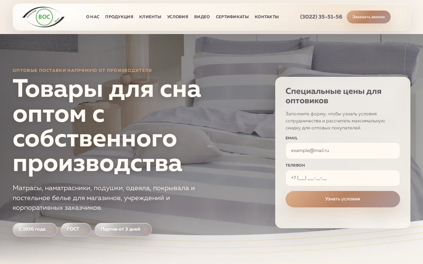 Превью сайта Читинский Центр ВОС